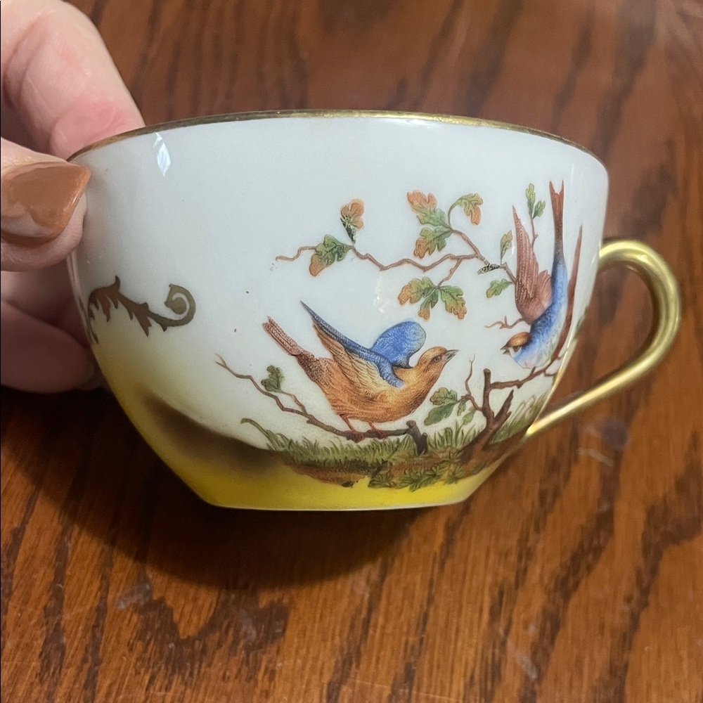 Herend hand painted porcelain Rothschild bird teacup